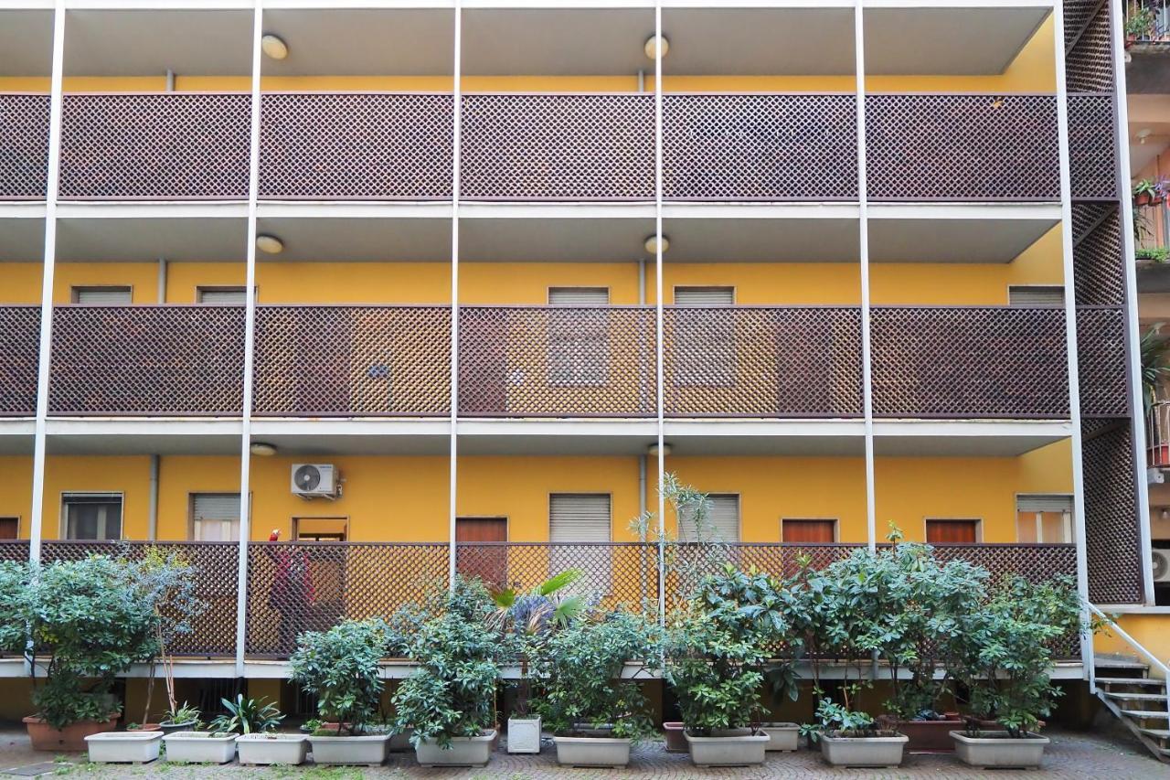 Primopiano - Calvi — Photos 1